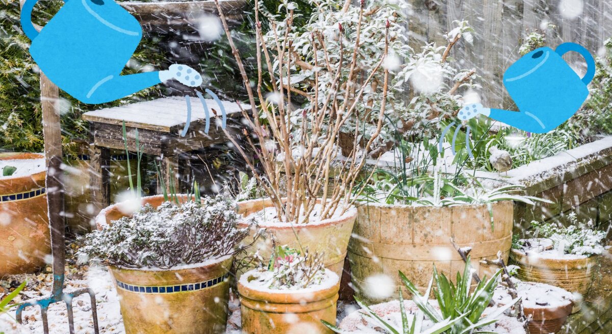 Gartenbereich mit schneebedeckten Pflanzkübeln und Pflanzen, animierte blaue Gießkannen fügen einen humorvollen Akzent hinzu.