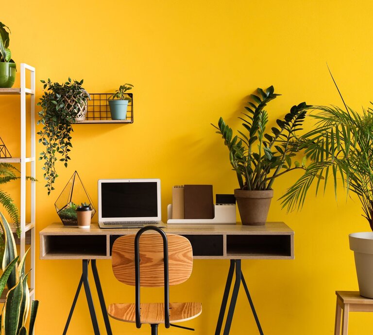 Ein Schreibtisch mit Laptop, Holzhocker und Unterlagen steht vor gelber Wand, umgeben von üppigen Zimmerpflanzen in Töpfen. | © Shutterstock/Pixel-Shot