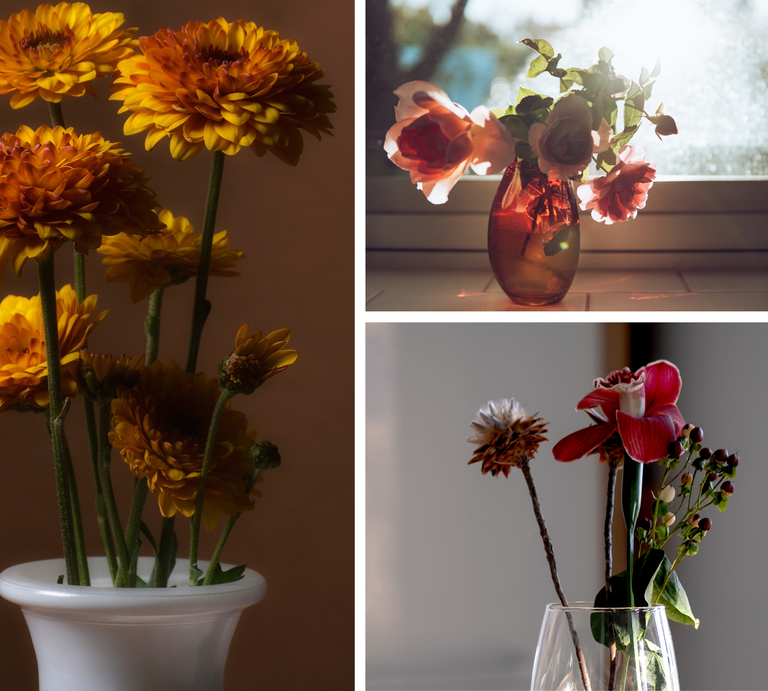 Collage mit drei Blumensträußen: orange Chrysanthemen, Rosen im Gegenlicht und ein minimalistisches Gesteck mit roter Orchidee. | © Canva [M]
