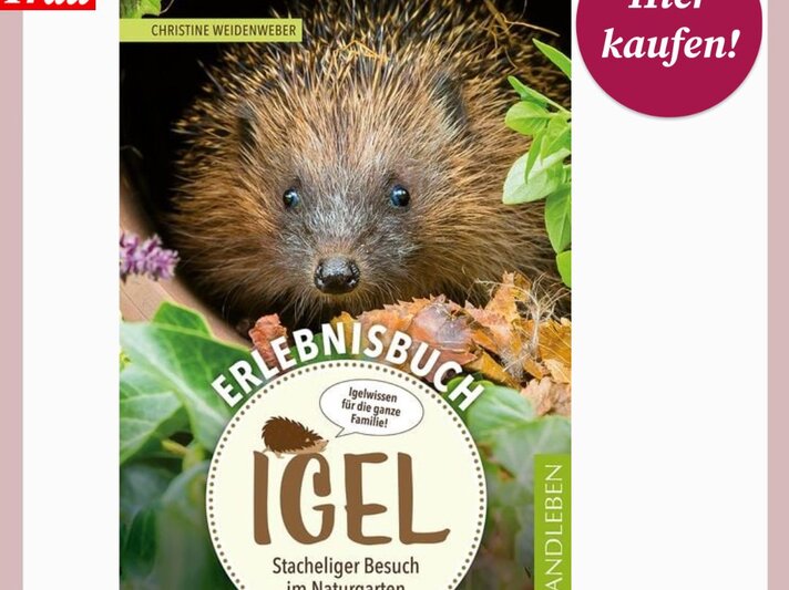 Cover eines Bücher-Ratgebers mit Igel-Gesicht, Blättern und farbigem Titel: „Erlebnisbuch Igel – Stacheliger Besuch im Naturgarten“. | © Thalia