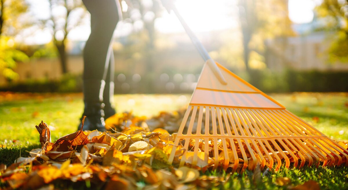 Frau entfernt Herbstlaub aus dem Garten