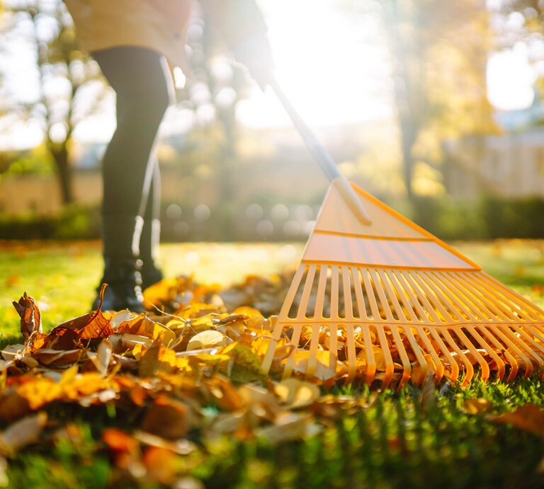 Frau entfernt Herbstlaub aus dem Garten | © GettyImages/Maksym Belchenko