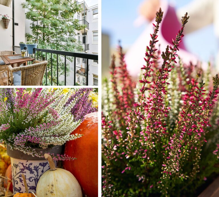 Modern eingerichteter Balkon mit Holzmöbeln, Rattan-Körben und Hängepflanzen, umgeben von grünen Bäumen und Stadtansicht. | ©  Canva/Collage:bildderfrau.de