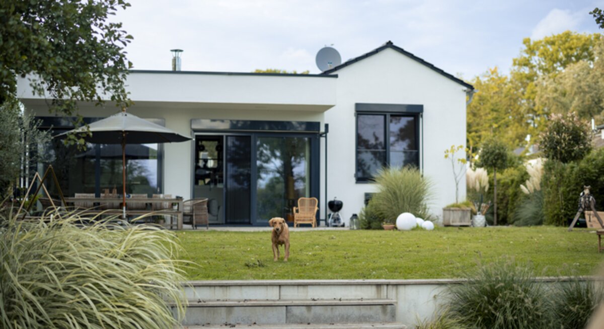 Hund steht auf einem Stück Rasen vor dem Haus.