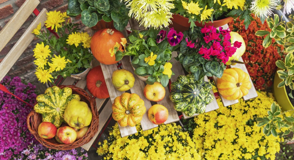 Balkon mit bunten Herbstblumen und Deko.