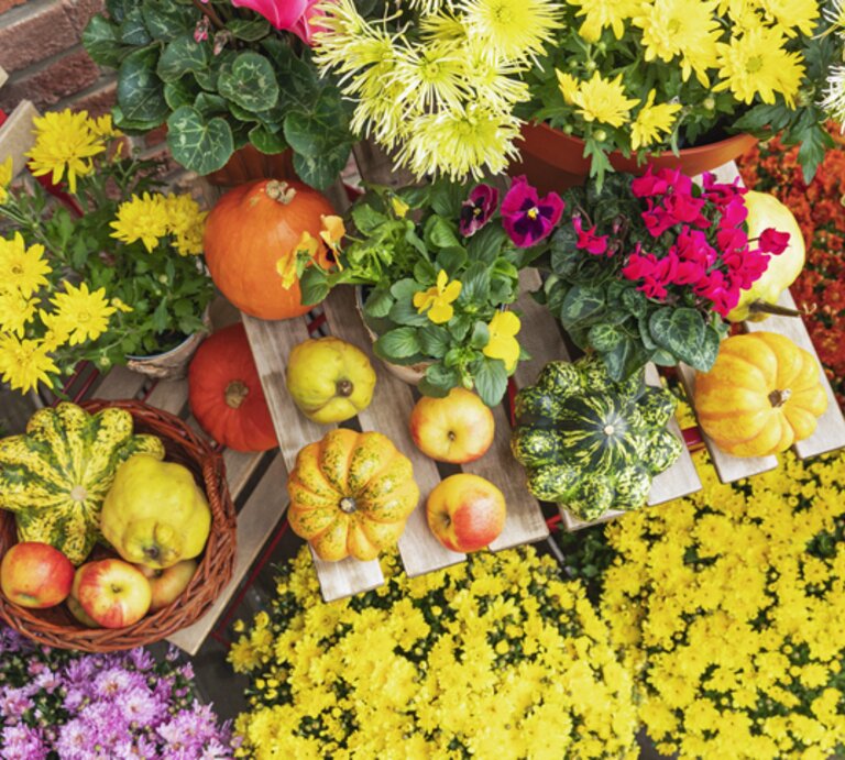 Balkon mit bunten Herbstblumen und Deko. | © Getty Images/ Westend61