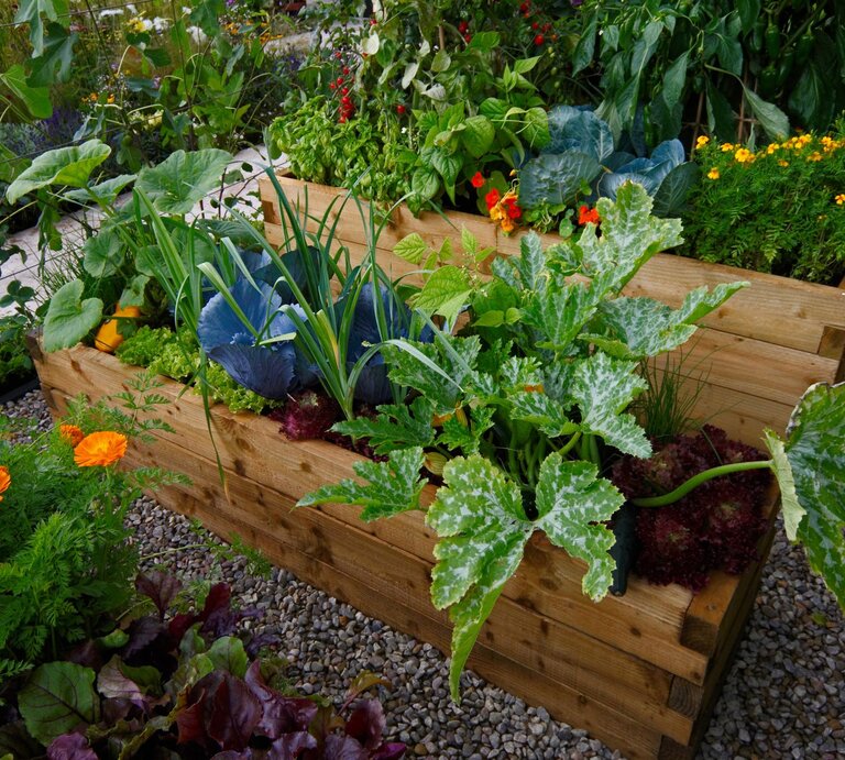 Ein üppig bepflanztes Hochbeet steht in einem Steingarten. | © Shutterstock/Gardens by Design