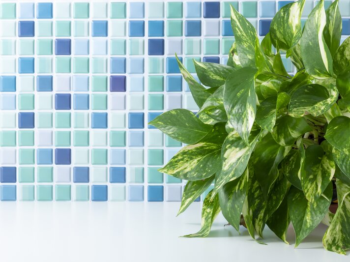 Efeutute im Badezimmer mit blauen Fließen | © AdobeStock/	kf4851