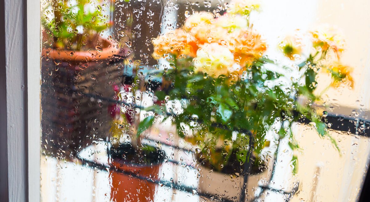 Regentropfen auf einer Fensterscheibe, dahinter ein Balkon mit bunten Blumentöpfen, dominierend orangefarbene Blüten im diffusen Licht.
