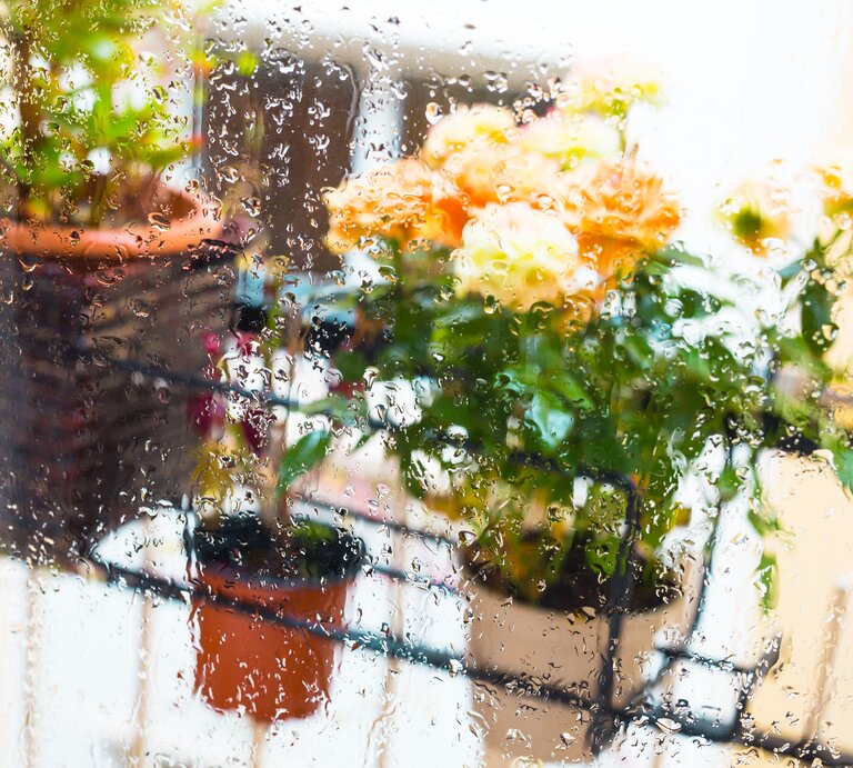 Regentropfen auf einer Fensterscheibe, dahinter ein Balkon mit bunten Blumentöpfen, dominierend orangefarbene Blüten im diffusen Licht. | © Adobe Stock/ caftor