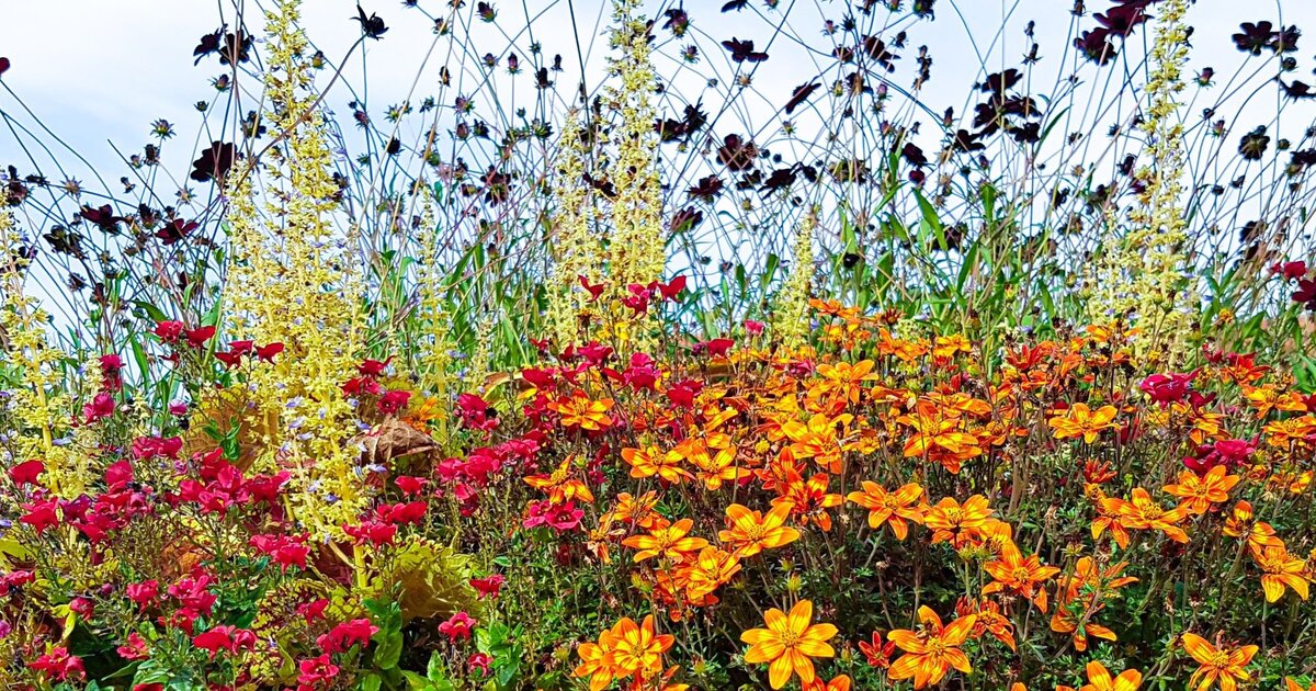 blumenkasten mit integriertem sichtschutz Flexi-Design Blumenkasten mit Sichtschutz bis 150cm  Potflex