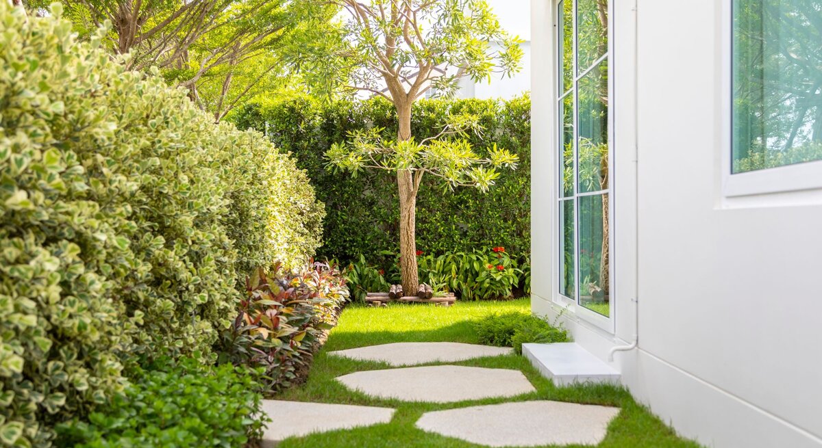 Schmaler, sonniger Gartenweg mit weißen Trittplatten zwischen Hecke und modernem Haus mit großen Fenstern.