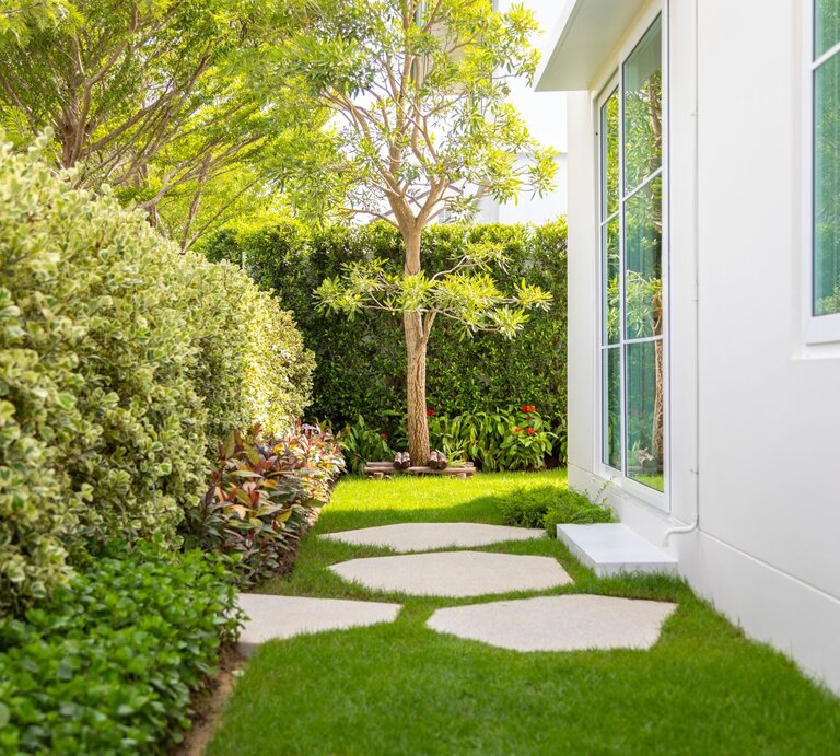 Schmaler, sonniger Gartenweg mit weißen Trittplatten zwischen Hecke und modernem Haus mit großen Fenstern. | © Shutterstock/ben bryant