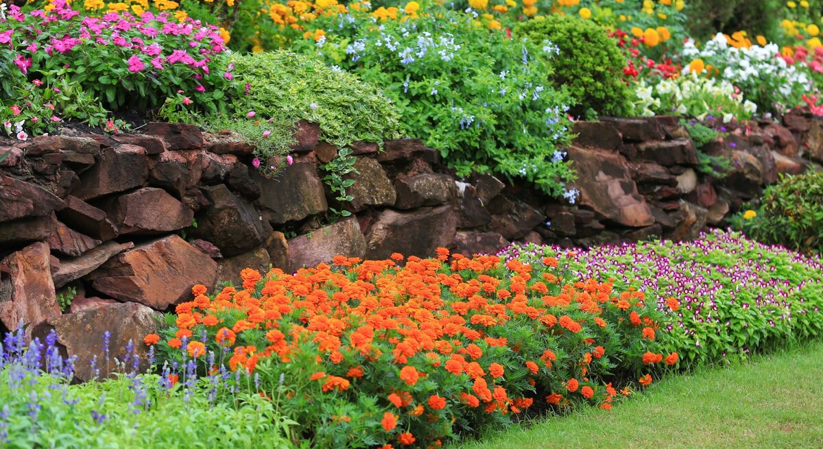 Mehrstufiges Blumenbeet mit leuchtend bunten Sommerblumen vor einer rustikalen Natursteinmauer im gepflegten Garten.