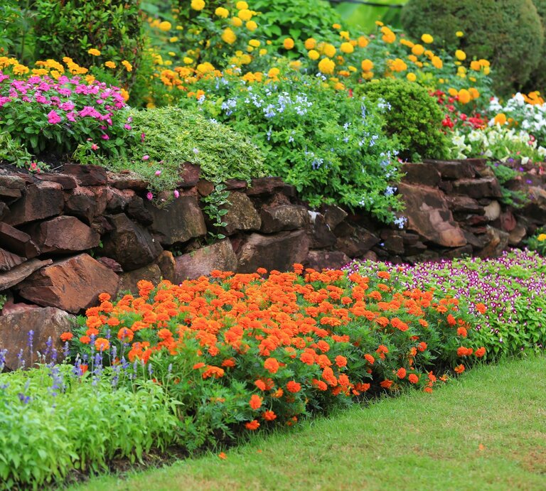 Mehrstufiges Blumenbeet mit leuchtend bunten Sommerblumen vor einer rustikalen Natursteinmauer im gepflegten Garten. | © Shutterstock/Kamol Jindamanee