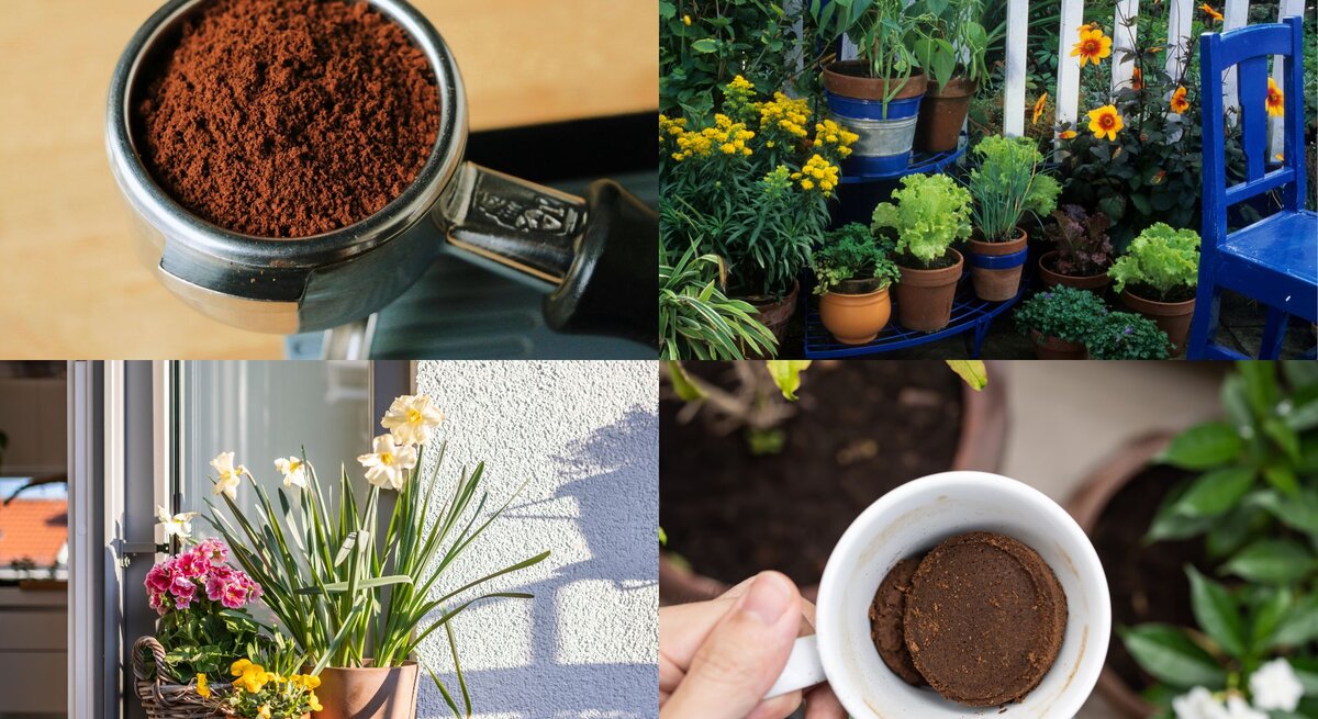 Vier Garten- und Kaffeebilder zeigen Blumentöpfe, Gemüsebeet, Kaffeesatz im Siebträger und eine Hand mit leerer Tasse.
