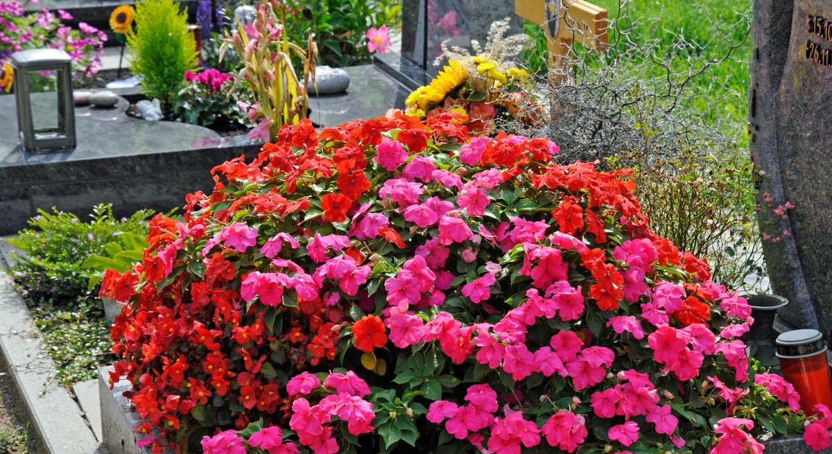 Üppige Sommerblumen in Pink und Rot bedecken ein gepflegtes Grab, im Hintergrund bunter Grabschmuck und ein Holzkreuz.
