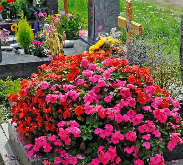 Üppige Sommerblumen in Pink und Rot bedecken ein gepflegtes Grab, im Hintergrund bunter Grabschmuck und ein Holzkreuz. | © AdobeStock/lotharnahler