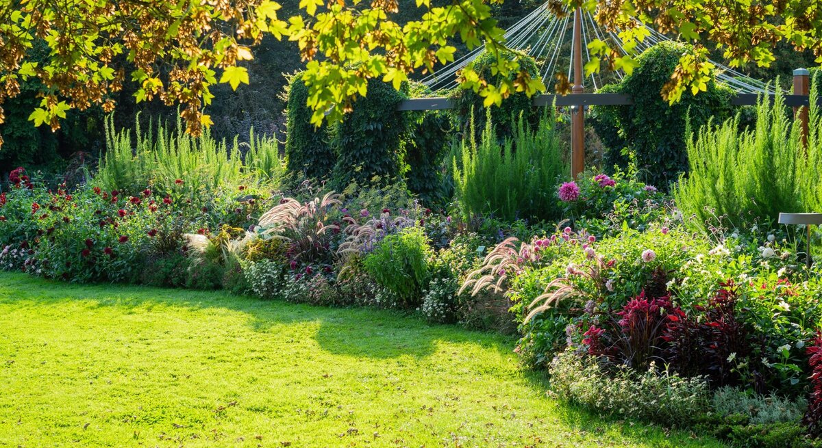 Sonnendurchfluteter Garten mit blühenden Stauden, dichten Sträuchern und einer grünen Wiese, umrahmt von einem Baum mit leuchtend gelbem Laub.