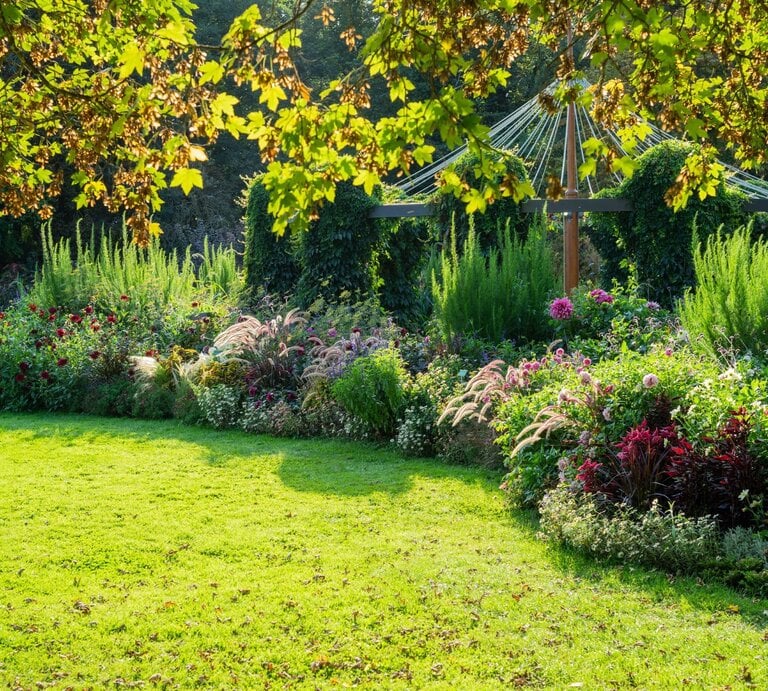 Sonnendurchfluteter Garten mit blühenden Stauden, dichten Sträuchern und einer grünen Wiese, umrahmt von einem Baum mit leuchtend gelbem Laub. | © Adobe Stock