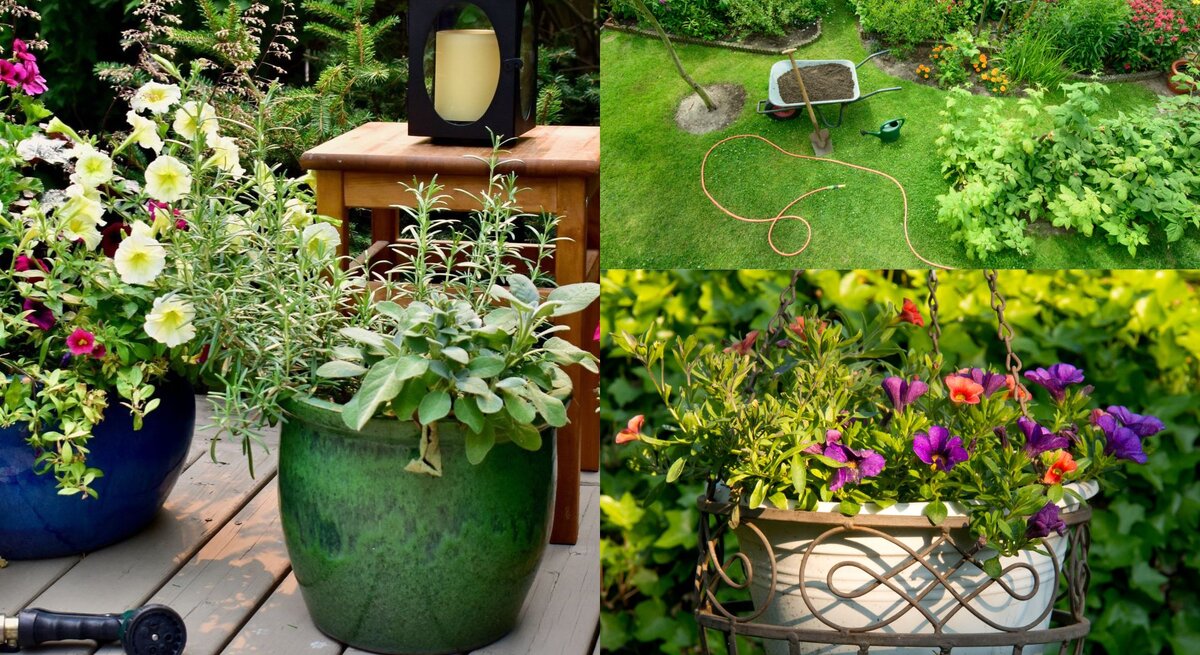 Bunte Blüten in großen blauen und grünen Töpfen auf Holzterrasse, daneben Gartenhandschuhe, Gießkanne und eine schwarze Laterne.