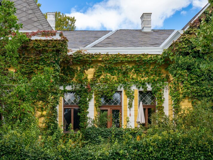Gelbes Haus mit Sprossenfenstern, umrankt von dichtem grünem Efeu und Wildem Wein, dahinter blauer Himmel mit weißen Wolken. | © Shutterstock/Muhlbach