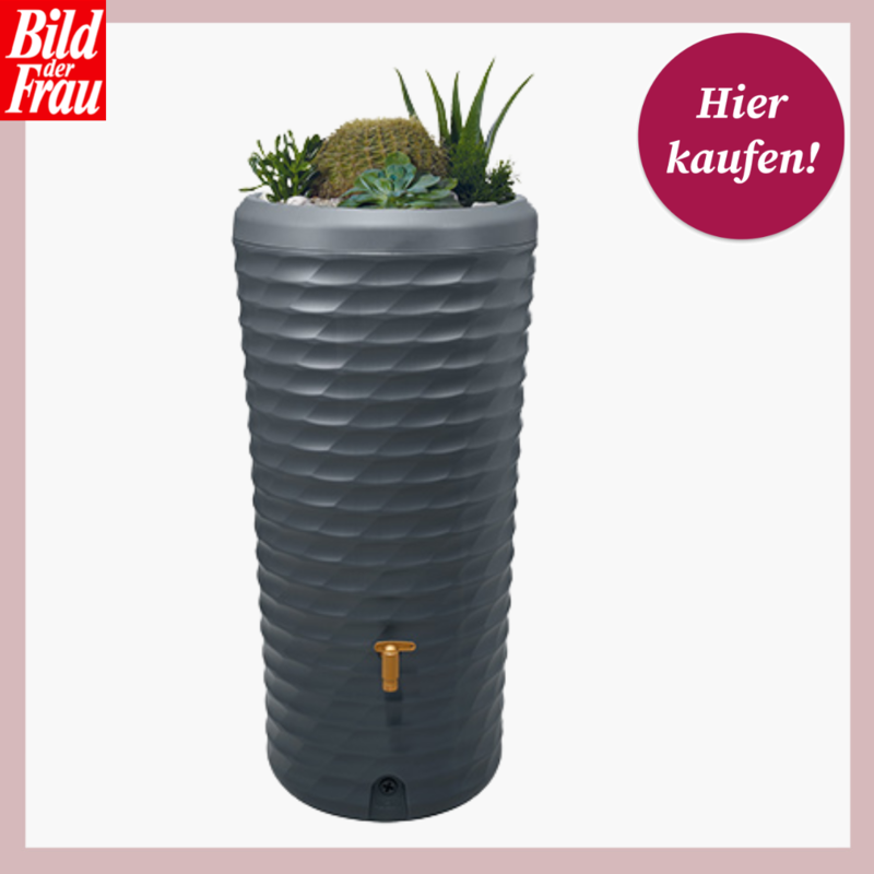 Dunkelgraue Regentonne mit strukturierter Oberfläche, bepflanzt mit Kakteen und Sukkulenten, goldener Wasserhahn vorn. | © Tchibo 
