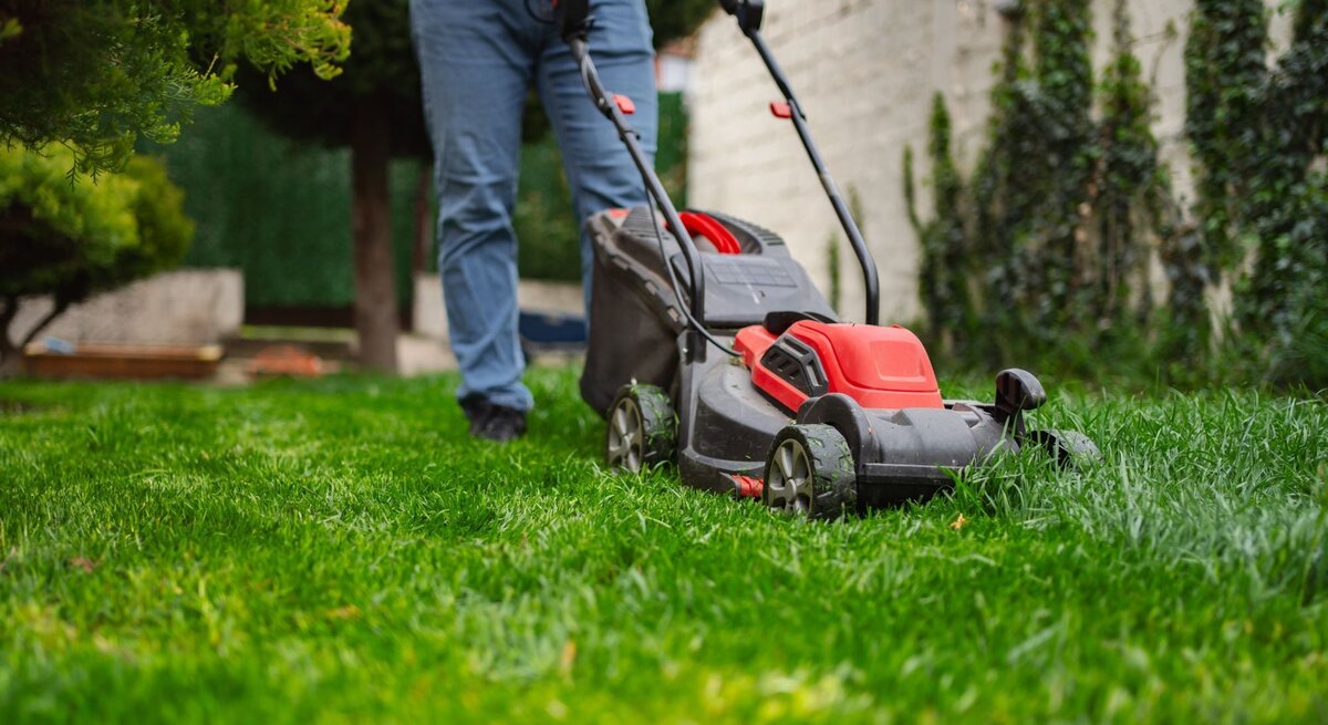 Eine Person in grauer Jacke und blauen Jeans mäht mit einem roten und schwarzen Rasenmäher grünes Gras in einem Garten mit Bäumen.