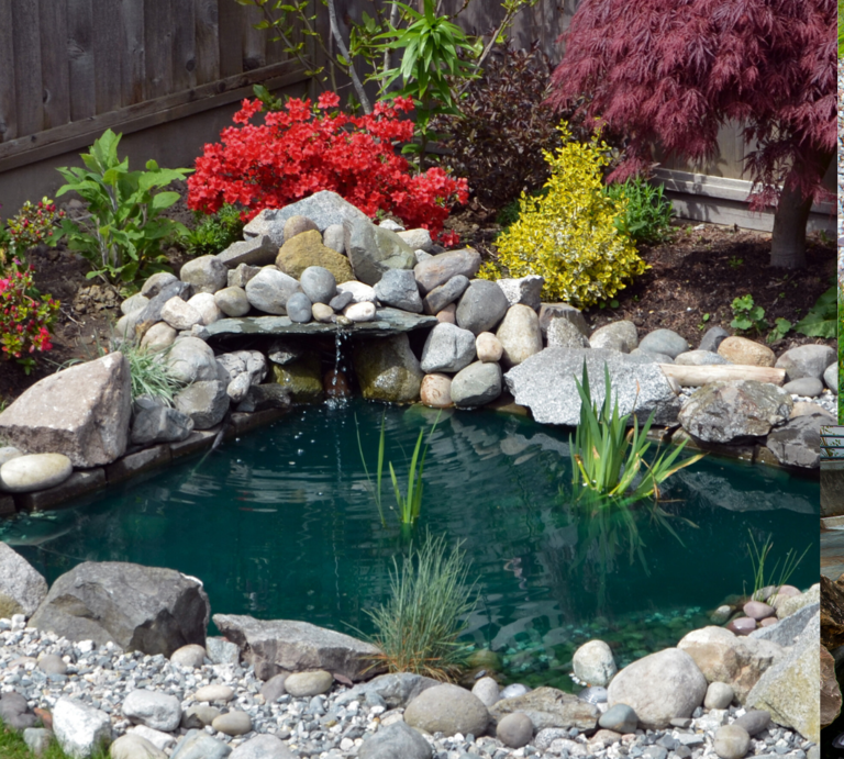 Drei unterschiedlich gestaltete Gartenteiche mit Steinen eingefasst, umgeben von Blumen, Rasen und asiatisch inspirierten Deko-Elementen. | © Canva/Collage:bildderfrau.de