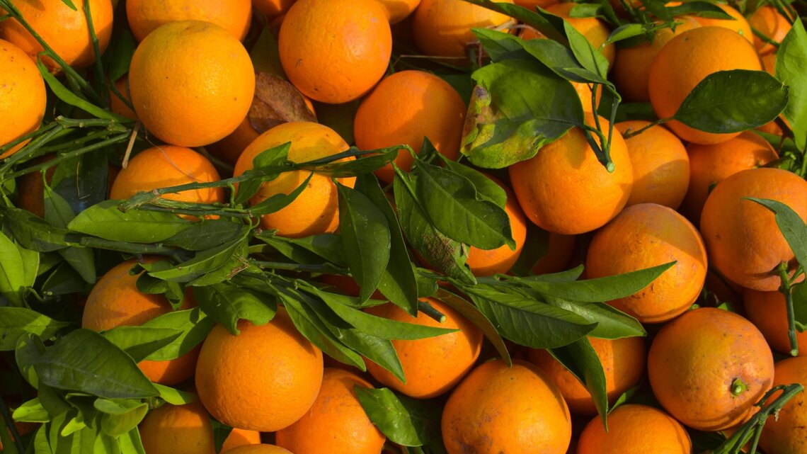 Orangenschalen als Dnger: Diese Zimmerpflanzen lieben es