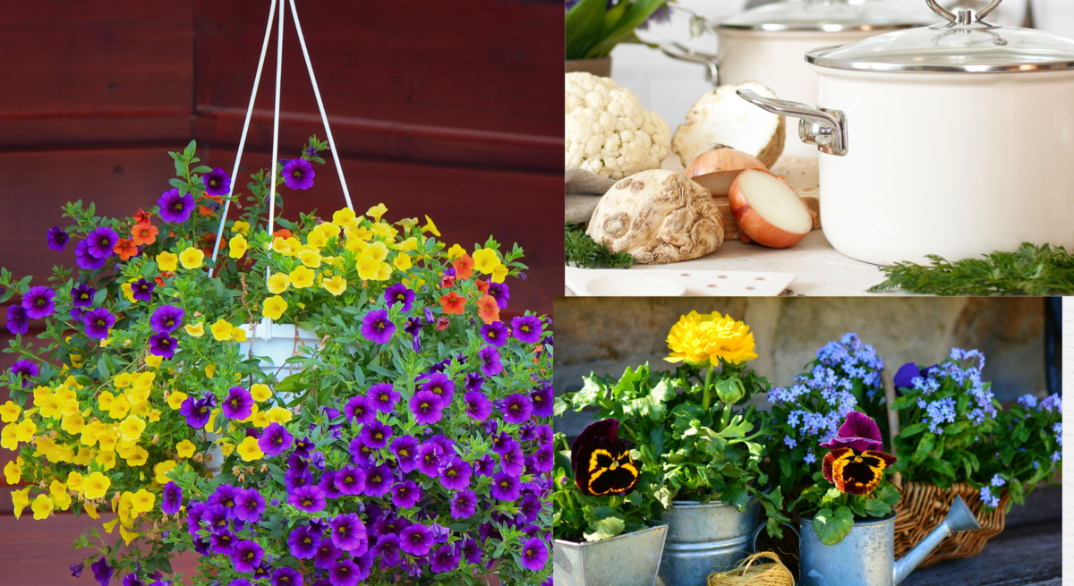 Collage mit bunter Blumenampel, weißen Kochtöpfen mit Gemüse und Gartenszene mit Blumentöpfen und Werkzeug.