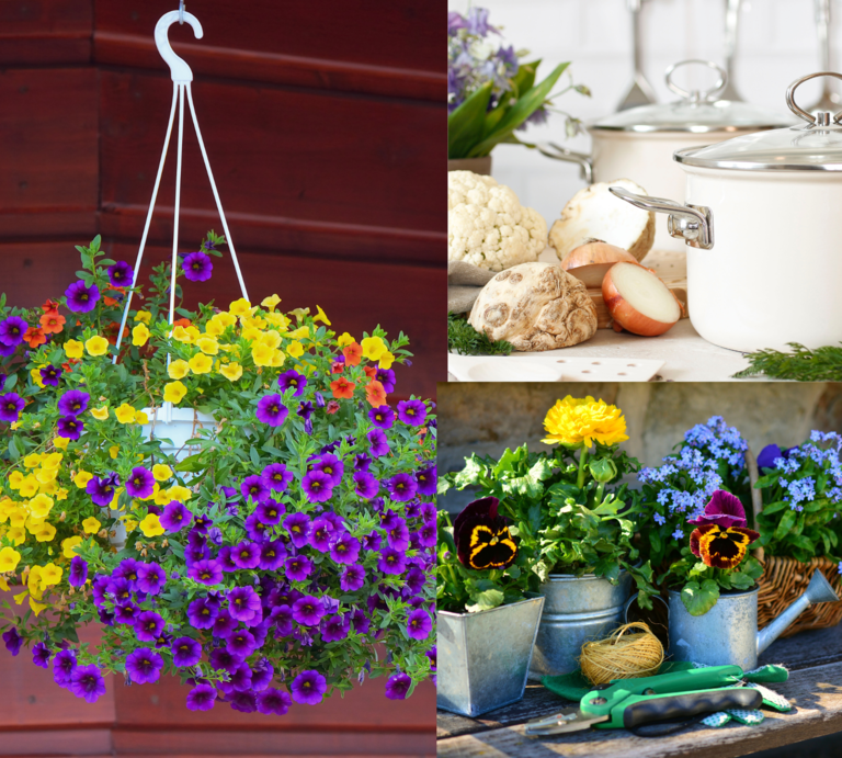 Collage mit bunter Blumenampel, weißen Kochtöpfen mit Gemüse und Gartenszene mit Blumentöpfen und Werkzeug. | © Canva/Collage:bildderfrau.de