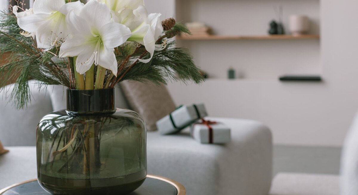 Weiße Amaryllis in voller Blüte mit Tannengrün in einer Vase, dekorativ auf einem Tisch im Wohnzimmer platziert – Amaryllis Pflege Kurzanleitung.