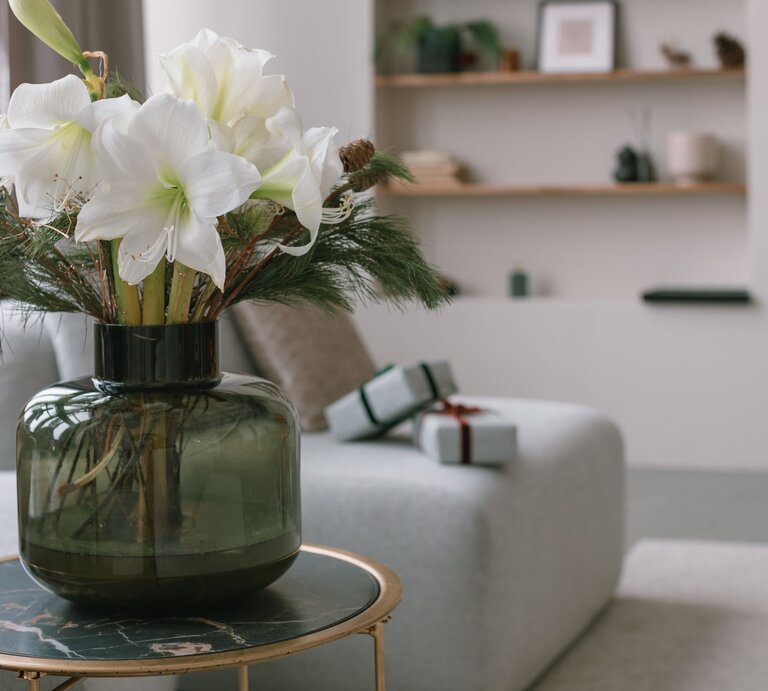 Weiße Amaryllis in voller Blüte mit Tannengrün in einer Vase, dekorativ auf einem Tisch im Wohnzimmer platziert – Amaryllis Pflege Kurzanleitung. | © AdobeStock/Nina