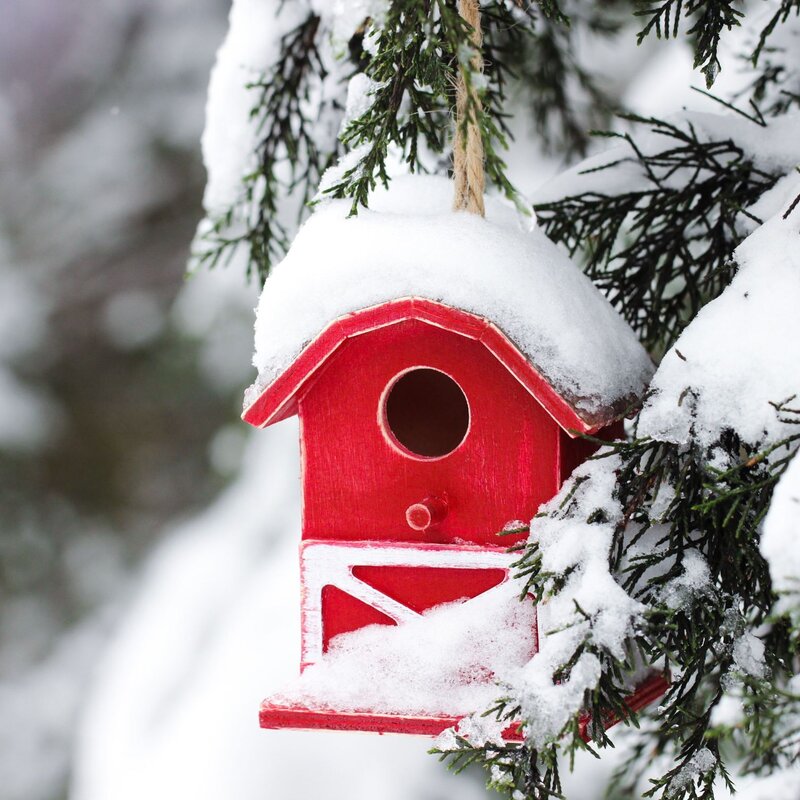 Ein leuchtend rotes Vogelhaus aus Holz hängt an einem Baum, umgeben von winterlichem Schnee und grünen Ästen | © Shutterstock/laura.h