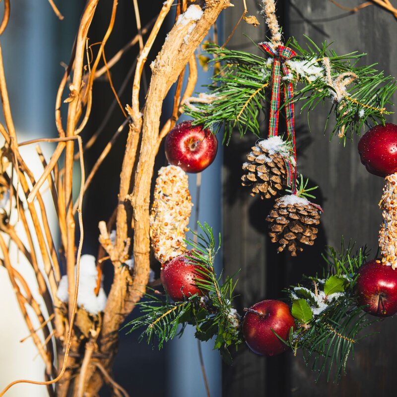 Ein runder Weihnachtskranz aus Vogelfutter hängt an einer Wand, umgeben von winterlichen Zweigen und festlichen Deko-Elementen. | © Shutterstock/iMarzi