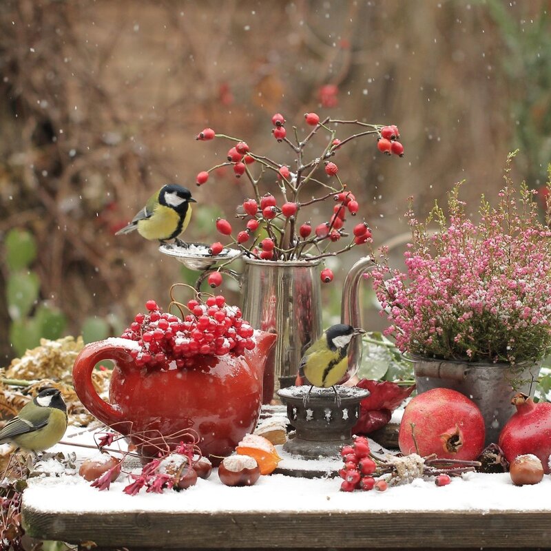 Ein mit Schnee bedeckter Tisch voller Winterdeko, darunter Hagebutten, eine rote Teekanne, Blumen und zwei Meisen. | © Shutterstock/Svetlana Gorbacheva