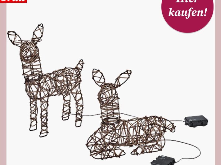 Deko-LED-Figuren in Form eines stehenden und eines liegenden Hirsches aus braunem Drahtgeflecht, verbunden mit Netzteilen. | © Tchibo
