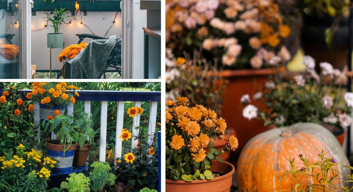 Herbstlich geschmückter Balkon mit Blumentöpfen, Kürbis und orangegelber Chrysantheme, daneben eine Holzbank mit Textil.