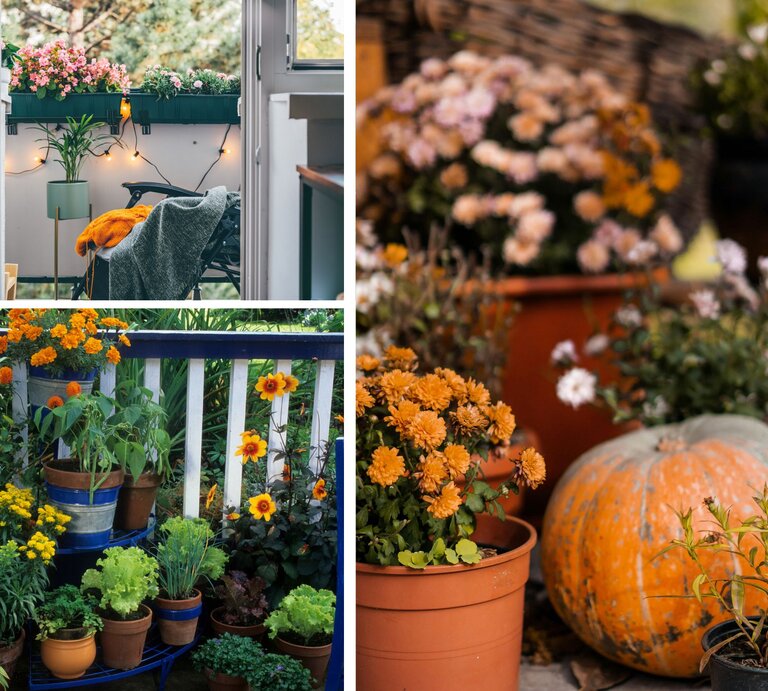 Herbstlich geschmückter Balkon mit Blumentöpfen, Kürbis und orangegelber Chrysantheme, daneben eine Holzbank mit Textil. | ©  Canva/Collage:bildderfrau.de