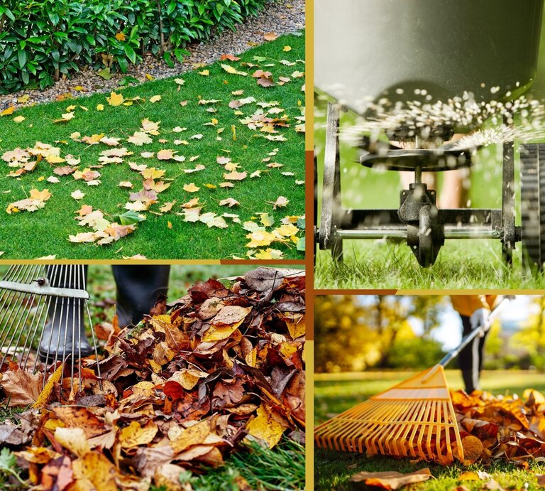 Person in gelber Jacke harkt mit orangem Rechen bunte Herbstblätter auf einer sonnigen Wiese zusammen. | © Canva/Collage:bildderfrau.de