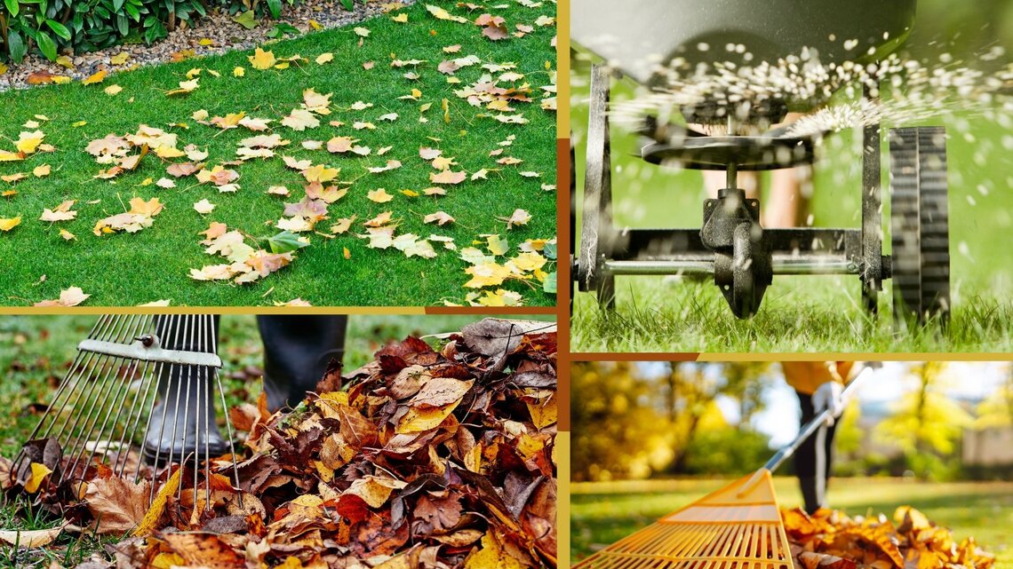 Herbstdnger fr Rasen: Ohne diesen Nhrstoff stirbt dein Grn