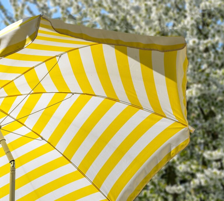 Gelb-weiß gestreifter Sonnenschirm im Sonnenlicht vor verschwommenem blühenden Baum im Hintergrund. | © Getty Images/Peer_Marlow