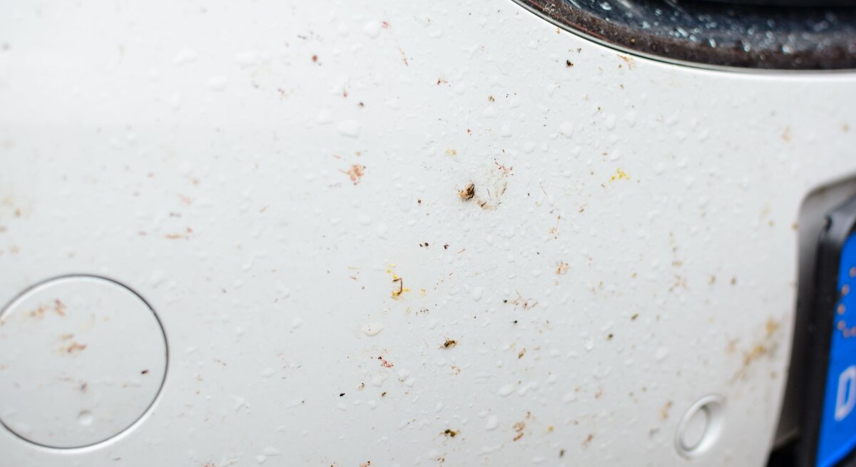 Nahaufnahme eines weißen Autos mit zahlreichen Insektenresten und Schmutzflecken auf der Frontstoßstange neben einem Kennzeichen.
