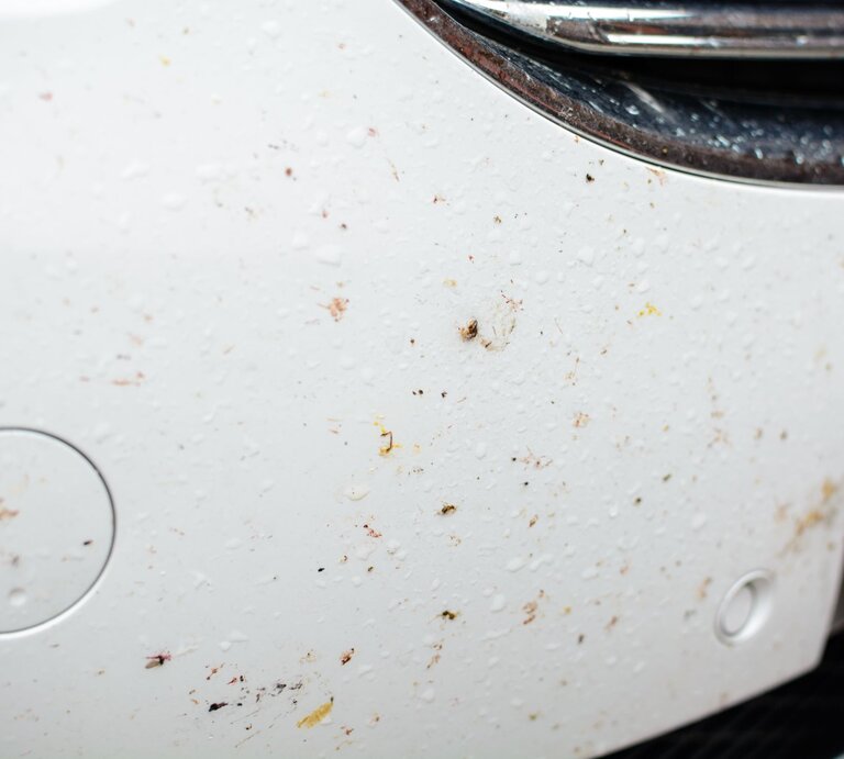 Nahaufnahme eines weißen Autos mit zahlreichen Insektenresten und Schmutzflecken auf der Frontstoßstange neben einem Kennzeichen. | © Getty Images/Andy Morgenstern
