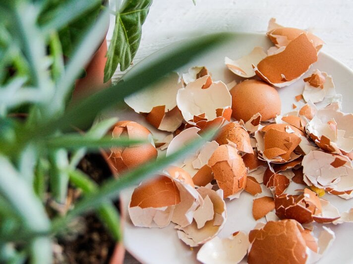 Eierschalen neben einem Blumentopf. | © Getty Images