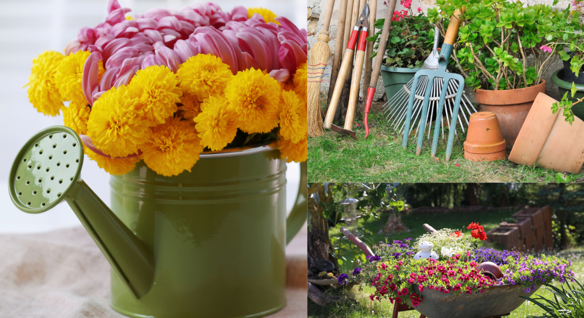 Eine Gießkanne mit gelben und rosa Blumen, Gartenwerkzeuge vor Töpfen und eine bepflanzte Schubkarre stehen in sommerlicher Gartenszene.
