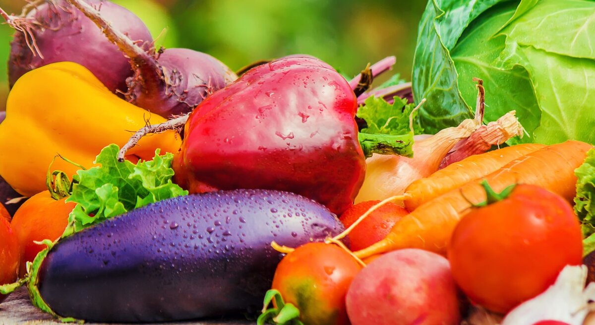 Saisonkalender Juli zeigt heimisches Gemüse wie Paprika, Aubergine, Tomaten, Salat, Karotten und Zwiebeln.