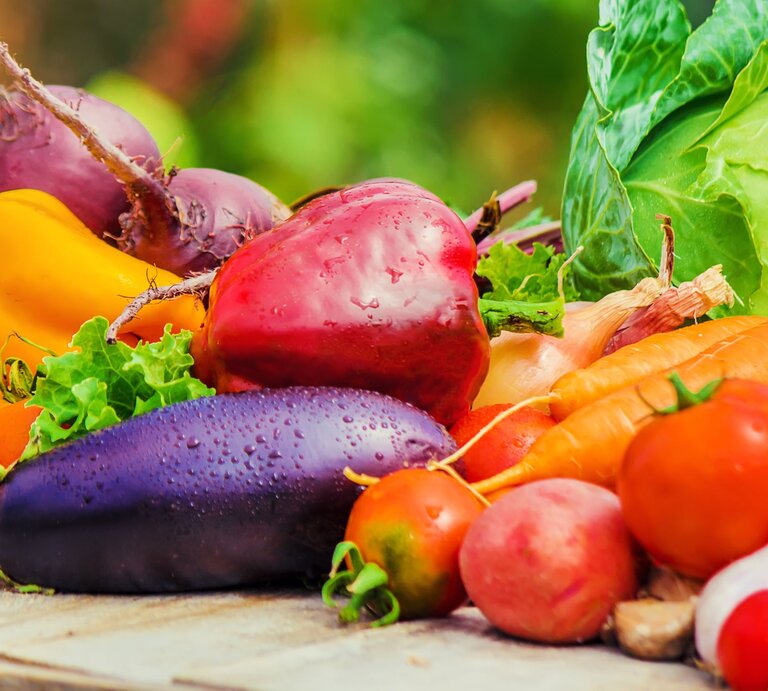 Saisonkalender Juli zeigt heimisches Gemüse wie Paprika, Aubergine, Tomaten, Salat, Karotten und Zwiebeln. | © gettyimages/Yana Tatevosian / 500px