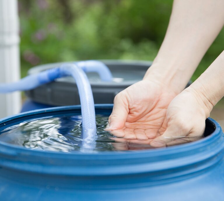 Nahaufnahme von Händen, die Wasser aus einem blauen Regenfass schöpfen, umgeben von grünem Garten. | © Adobe Stock/ carbondale